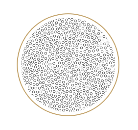 Les champignons &agrave; Pores