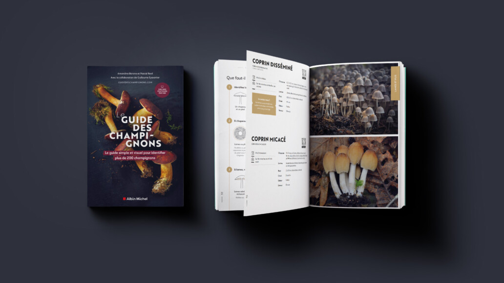 Présentation du meilleur livre des champignon
