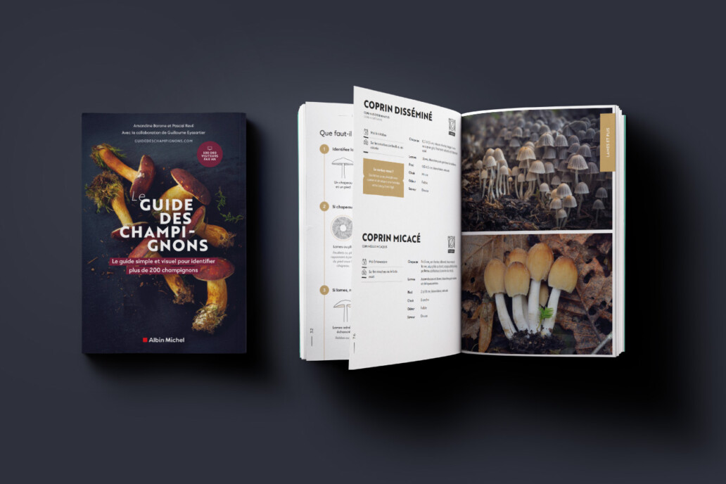 Pr&eacute;sentation du meilleur livre des champignon