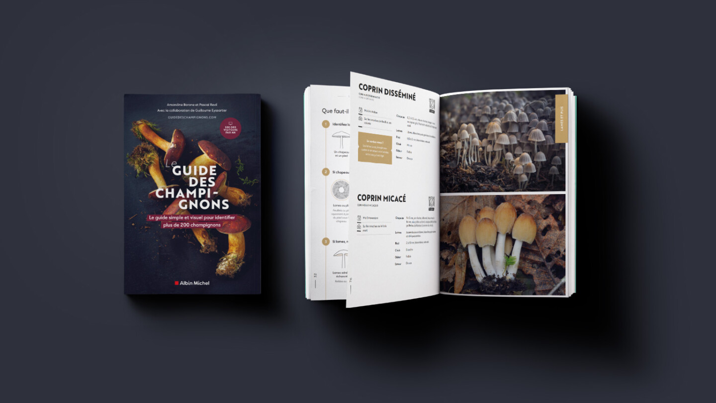 Présentation du meilleur livre des champignon