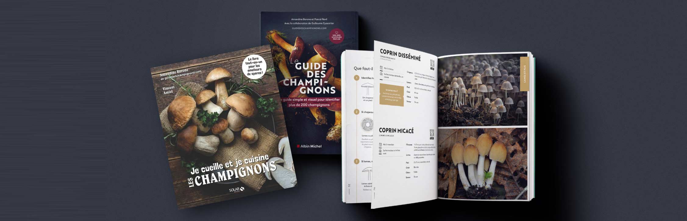 Les meilleurs livres sur les champignons en 2026 — free download