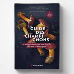 Le guide des champignons édité chez Albin Michel