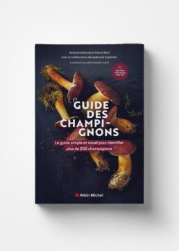 Le guide des champignons édité chez Albin Michel
