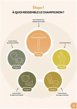 Formation &agrave; quoi ressemble votre champignon