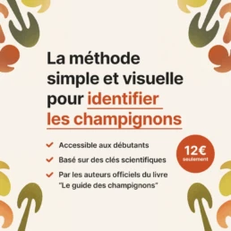 Formation identification de champignons