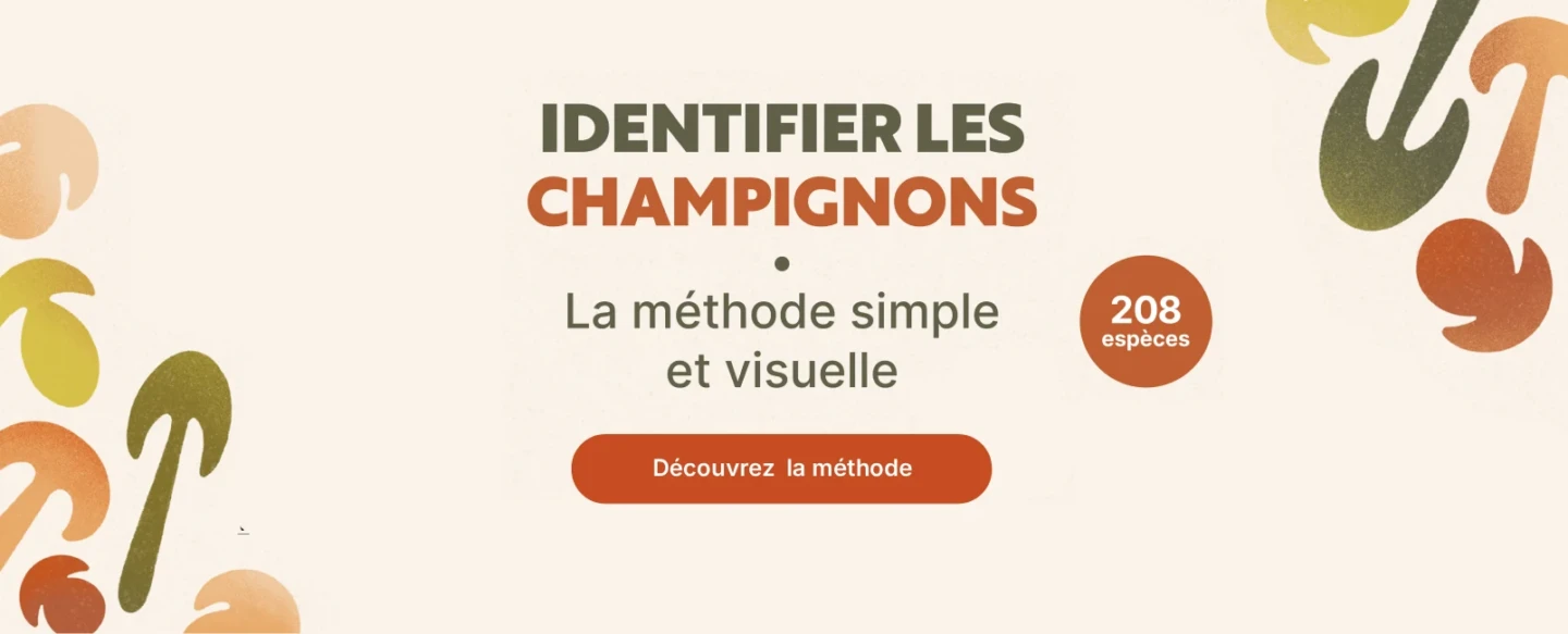 Identifier les champignon vous m&ecirc;me dans la foret