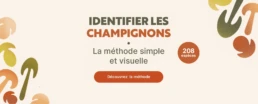 Identifier les champignon vous m&ecirc;me dans la foret