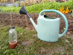 Liquide bacterie pour culture de morille