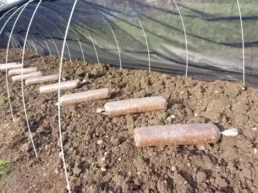 Substrat de l'entreprise ceramyca pour culture de morille