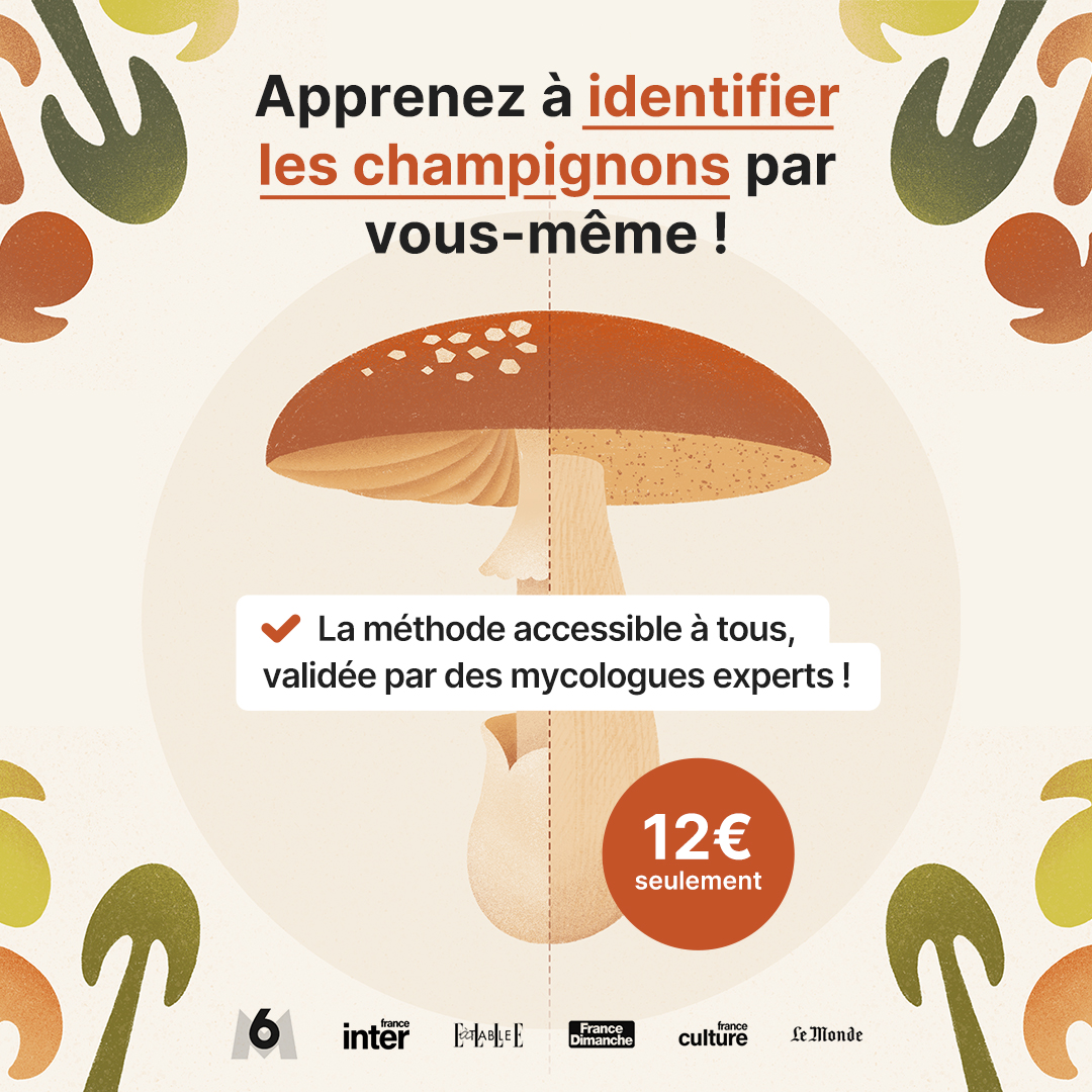 Avec une bonne methode apprenez &agrave; identifier facilement un champignon